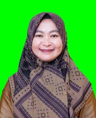 DEWI RIANI TRANSETIAWATI, S. Kom